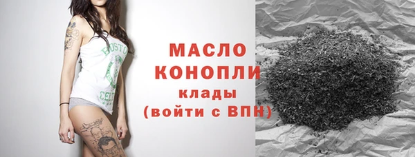 индика Михайловка