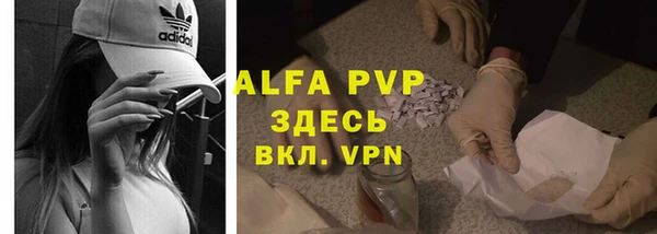 индика Михайловка
