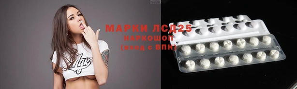 индика Михайловка