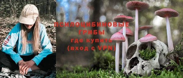 дурь Михайловск