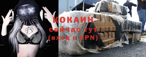 индика Михайловка