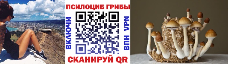 дарнет шоп mega сайт Галлюциногенные грибы GOLDEN TEACHER Алзамай