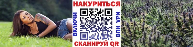 где можно купить наркотик  Алзамай  МАРИХУАНА план 